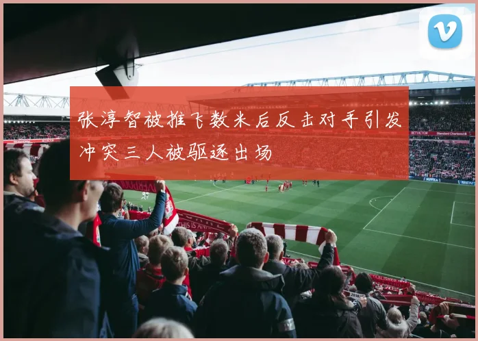 张淳智被推飞数米后反击对手引发冲突三人被驱逐出场